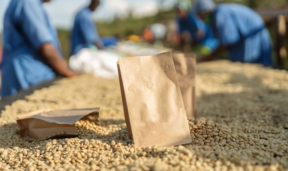 specialty-coffee-packaging التخصص في التعبئة