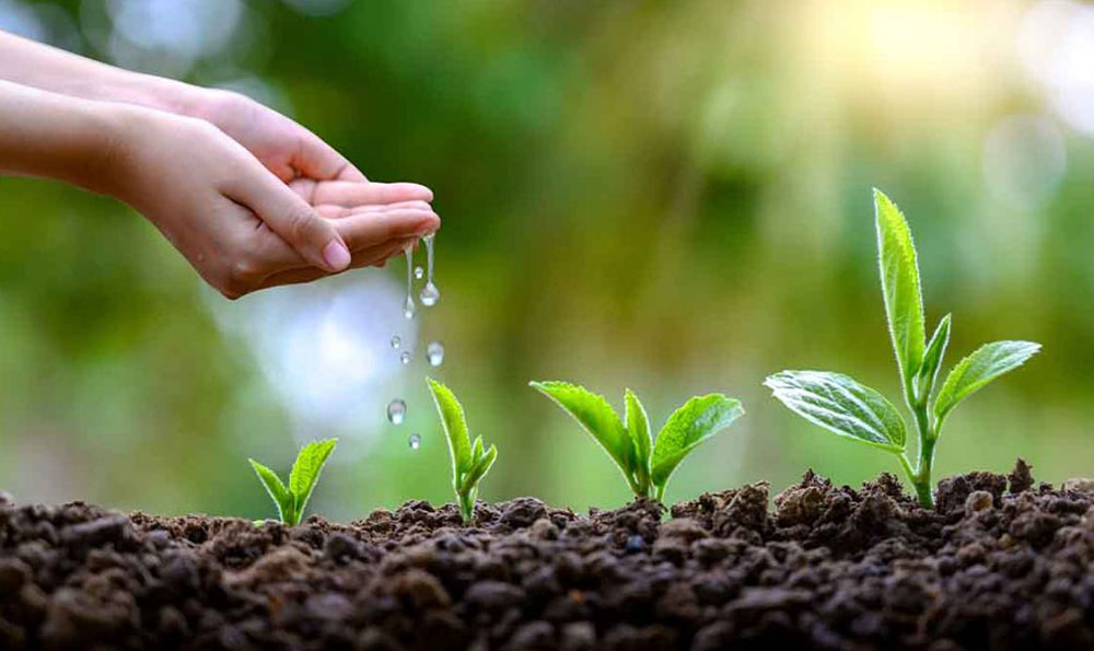 سوموست قابل للسماد المرن