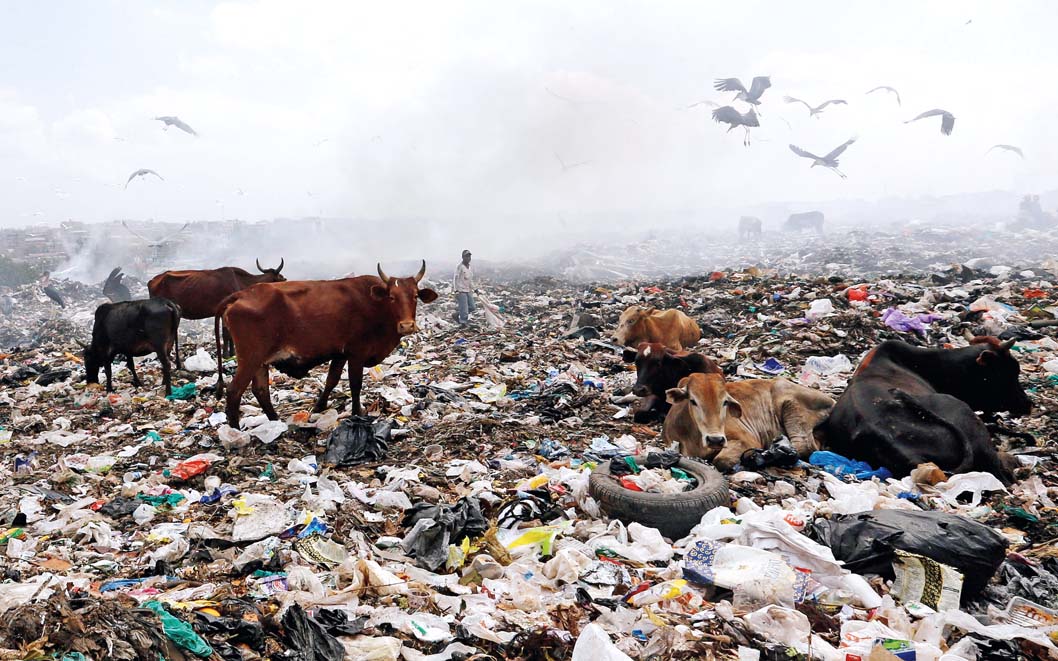 1310564982 _ 16503539166 091N