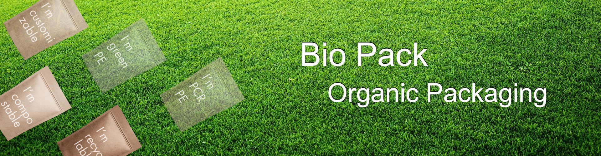 Contact-US-Banner