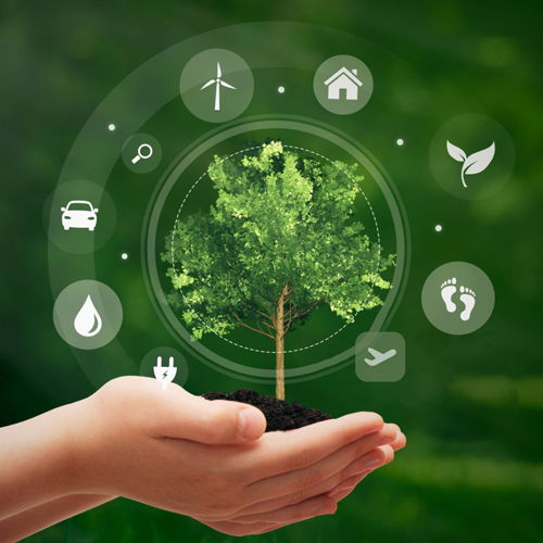 استدامة biopack